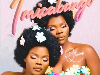 Q Twins - Ngeke Mposa.Co.Za
