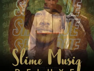 Sherique - Dub Sgidi ft. Wayne11 Mposa.Co.Za